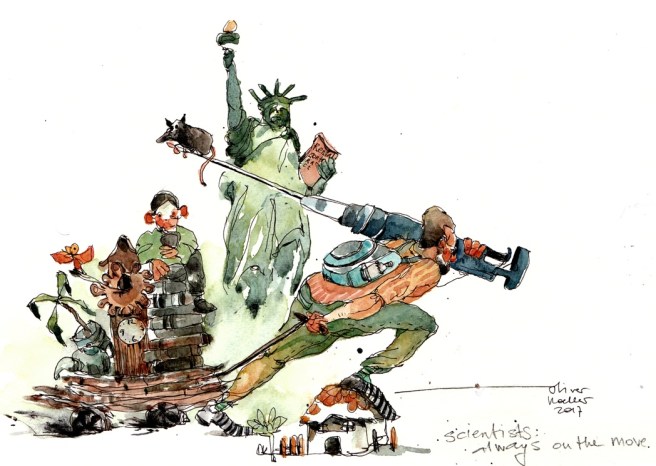 On the move_lowres.jpg