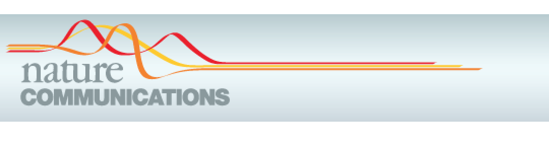 Screen Shot 2017-09-17 at 12.04.19.png