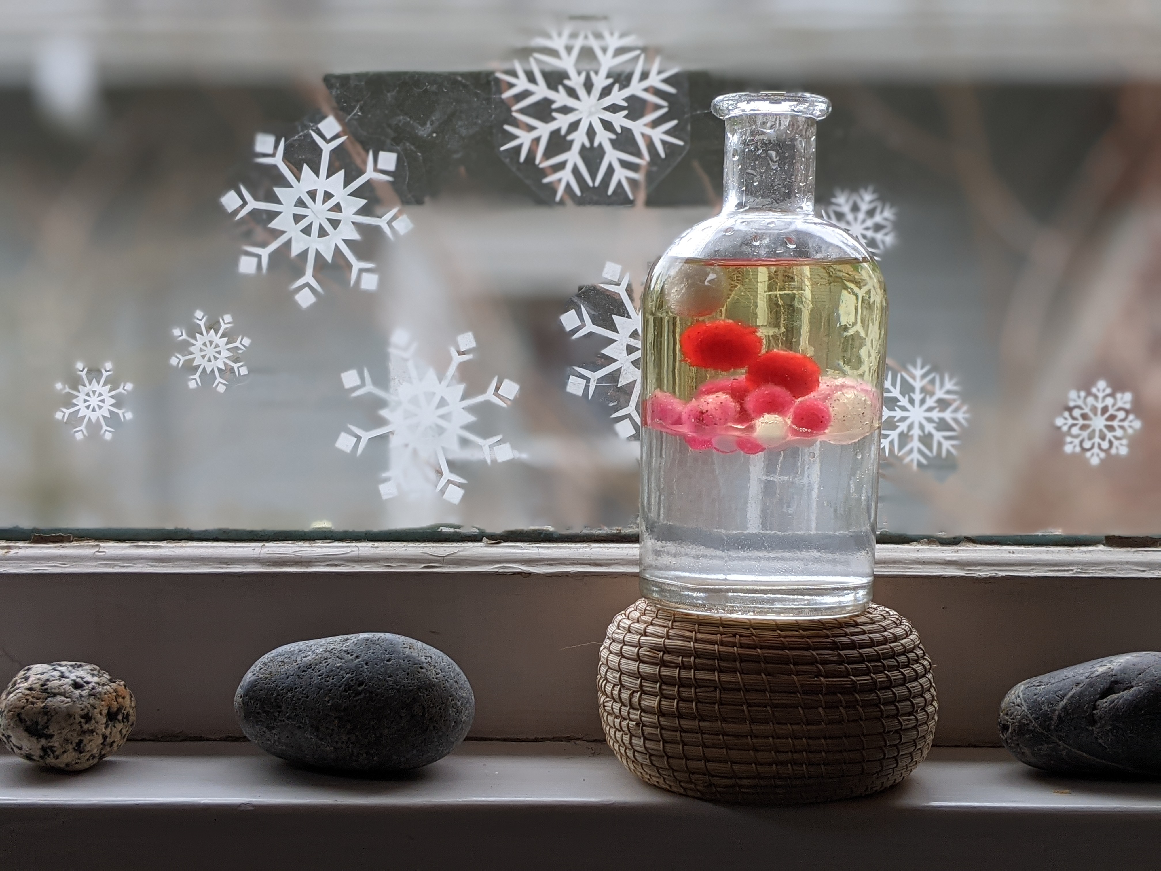 PXL_20210211_183642480.PORTRAIT_Isela Van Epps.jpg