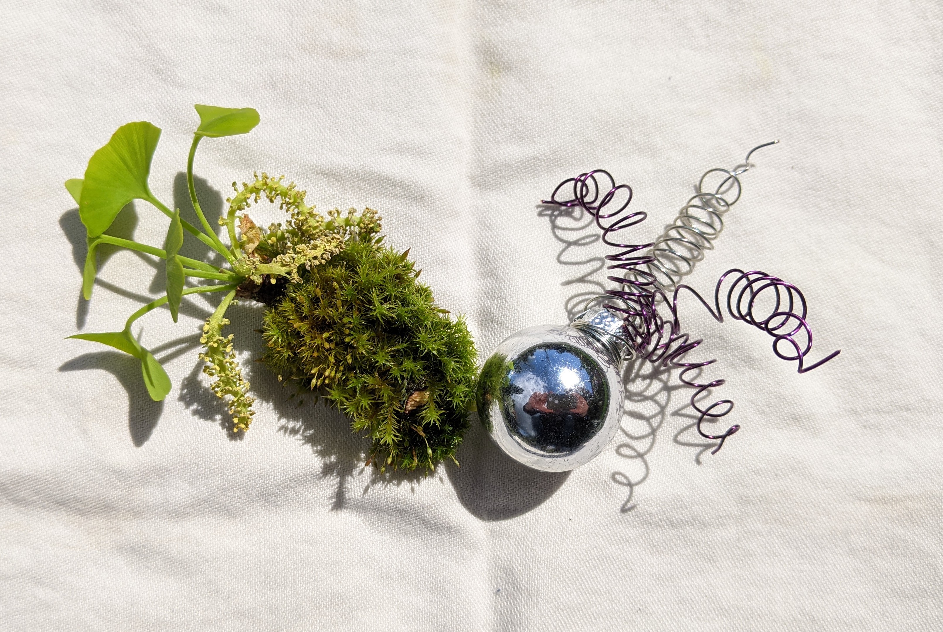 PXL_20210426_213146280~2_use this.jpg