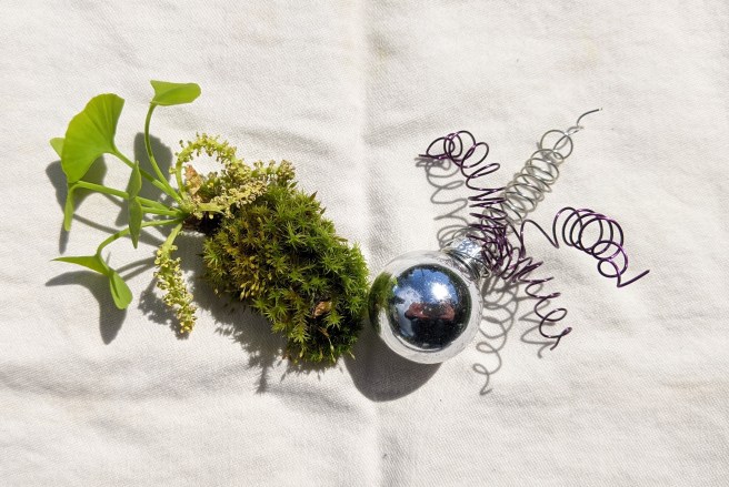 PXL_20210426_213146280~2_use this.jpg