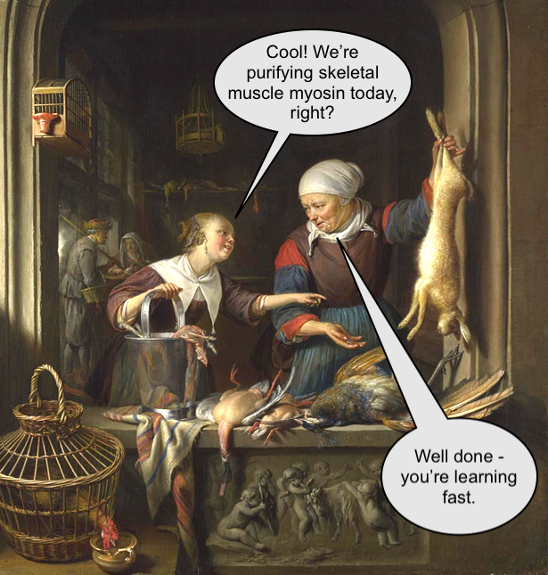 N-0825-00-000026-wpu copy 2.jpg