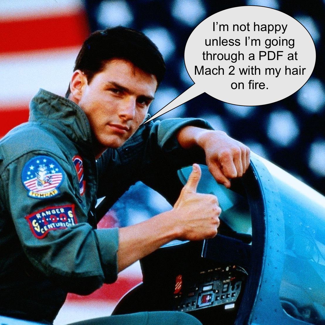 Top Gun copy.jpg